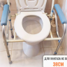 Кресло-туалет BIOFORCE CWC-5  